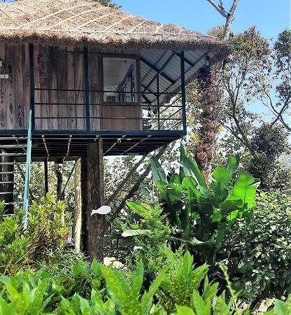 Noah'S Nest Tree House Apartment เทกคาดี ภายนอก รูปภาพ