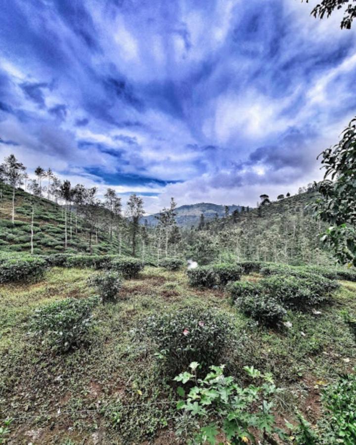 Noah'S Nest Tree House Apartment เทกคาดี ภายนอก รูปภาพ