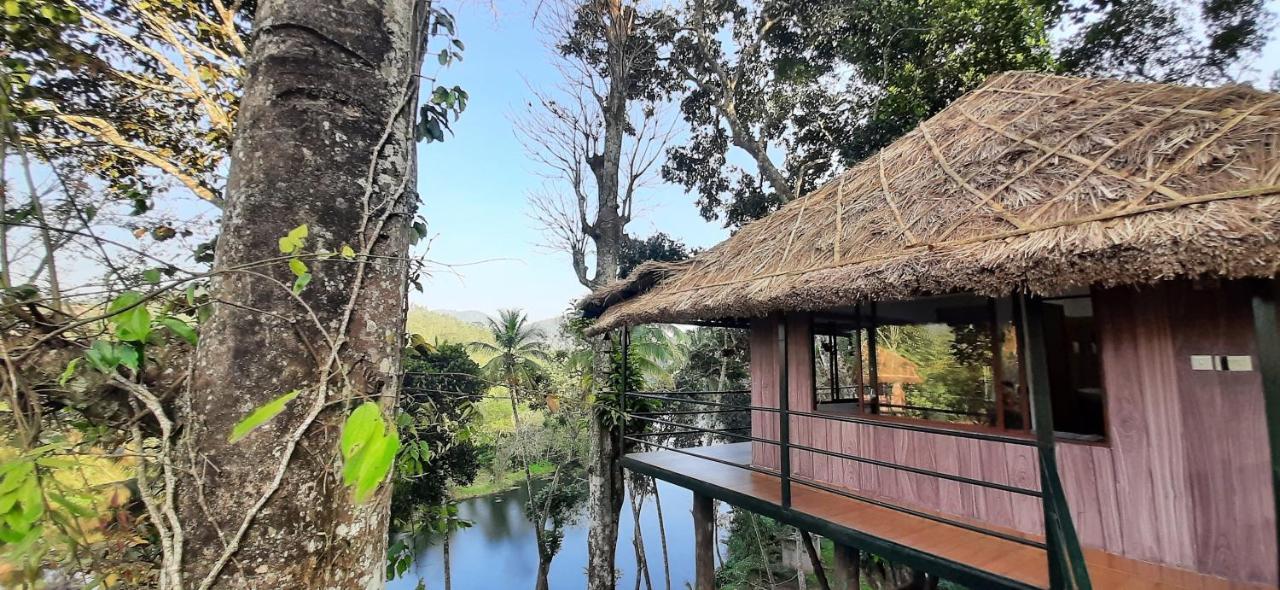 Noah'S Nest Tree House Apartment เทกคาดี ภายนอก รูปภาพ
