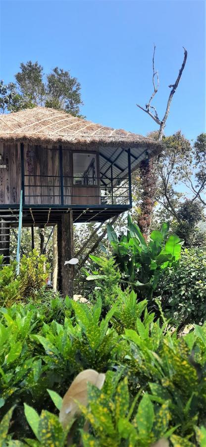 Noah'S Nest Tree House Apartment เทกคาดี ภายนอก รูปภาพ