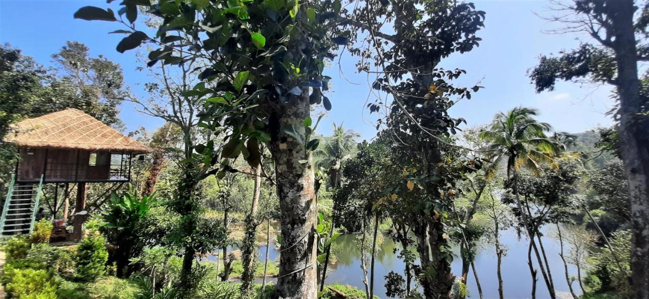 Noah'S Nest Tree House Apartment เทกคาดี ภายนอก รูปภาพ