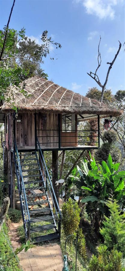 Noah'S Nest Tree House Apartment เทกคาดี ภายนอก รูปภาพ