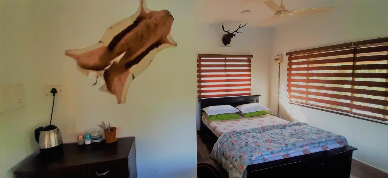 Noah'S Nest Tree House Apartment เทกคาดี ภายนอก รูปภาพ