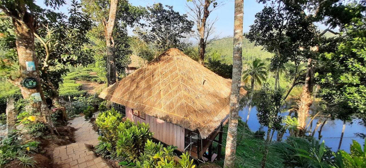 Noah'S Nest Tree House Apartment เทกคาดี ภายนอก รูปภาพ