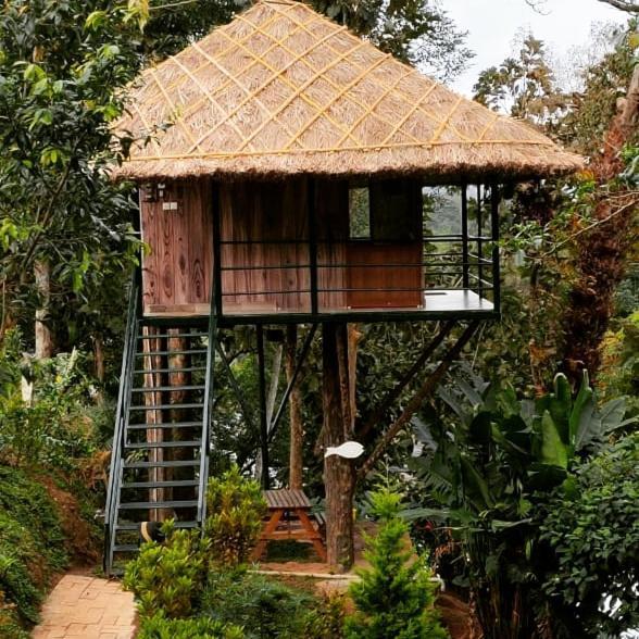 Noah'S Nest Tree House Apartment เทกคาดี ภายนอก รูปภาพ