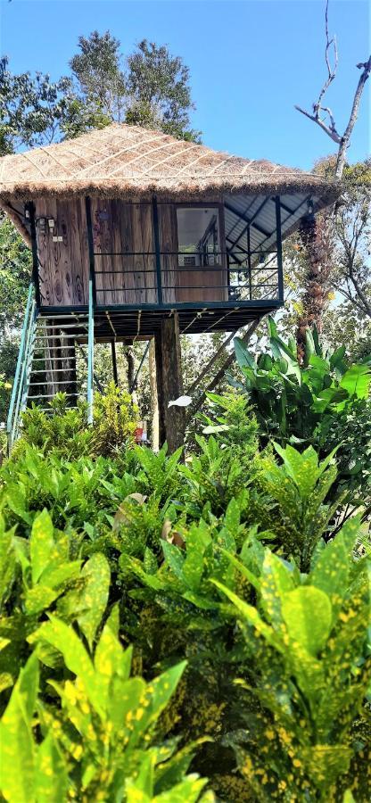 Noah'S Nest Tree House Apartment เทกคาดี ภายนอก รูปภาพ