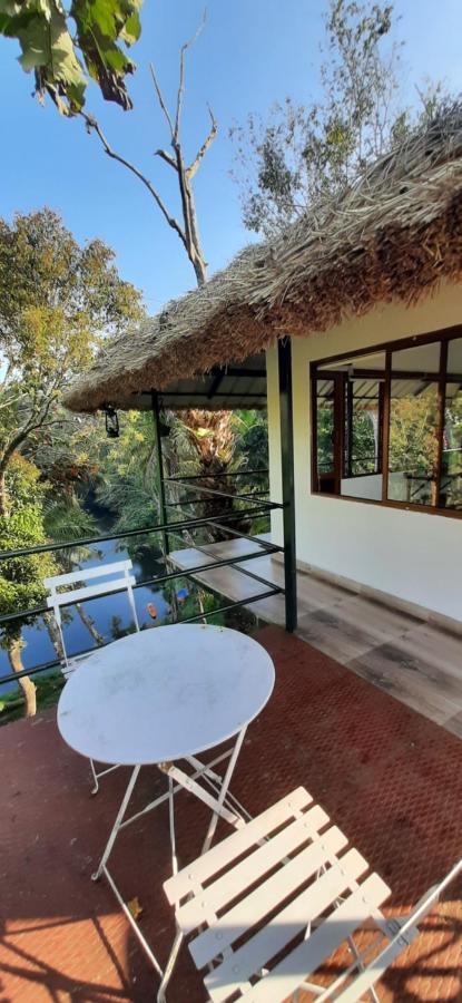 Noah'S Nest Tree House Apartment เทกคาดี ภายนอก รูปภาพ
