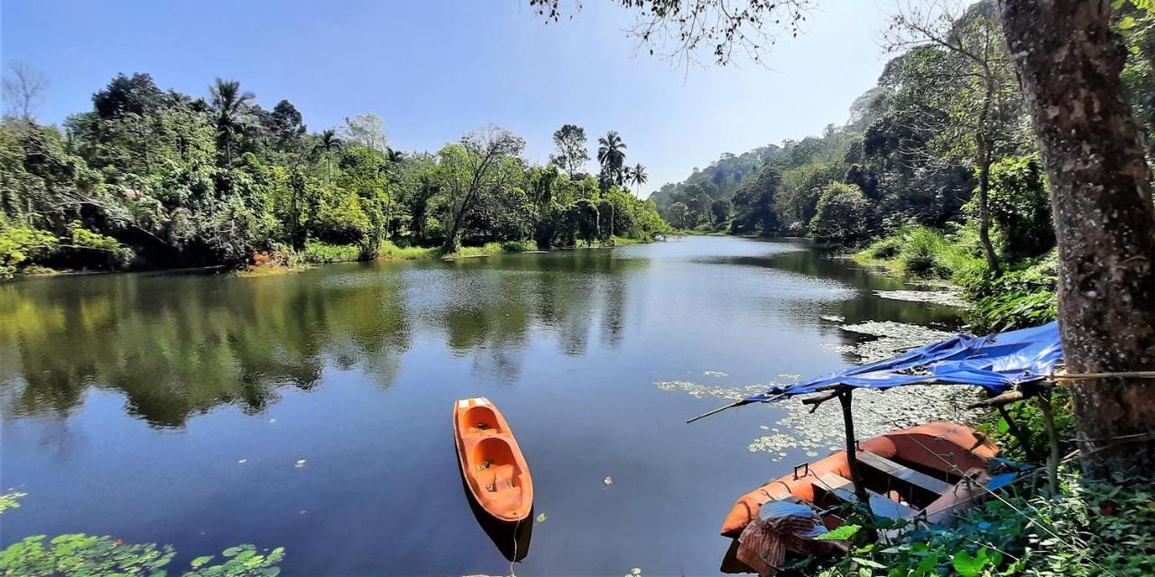 Noah'S Nest Tree House Apartment เทกคาดี ภายนอก รูปภาพ