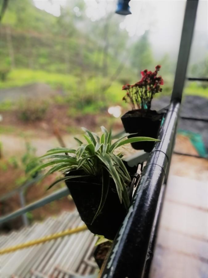 Noah'S Nest Tree House Apartment เทกคาดี ภายนอก รูปภาพ