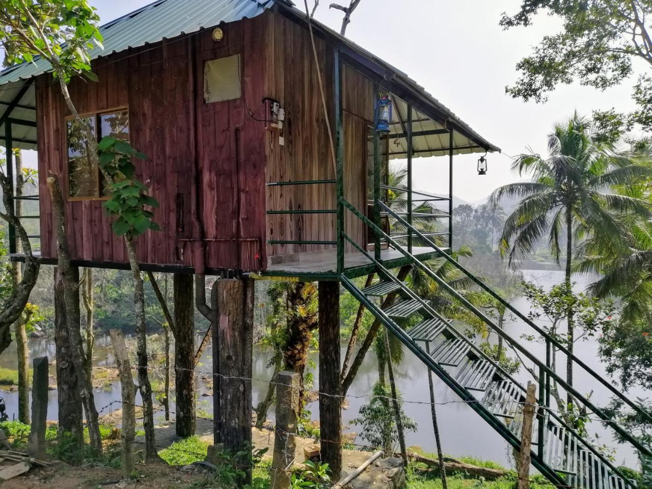 Noah'S Nest Tree House Apartment เทกคาดี ภายนอก รูปภาพ