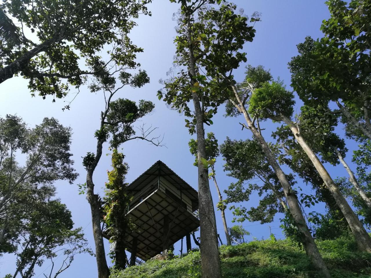 Noah'S Nest Tree House Apartment เทกคาดี ภายนอก รูปภาพ