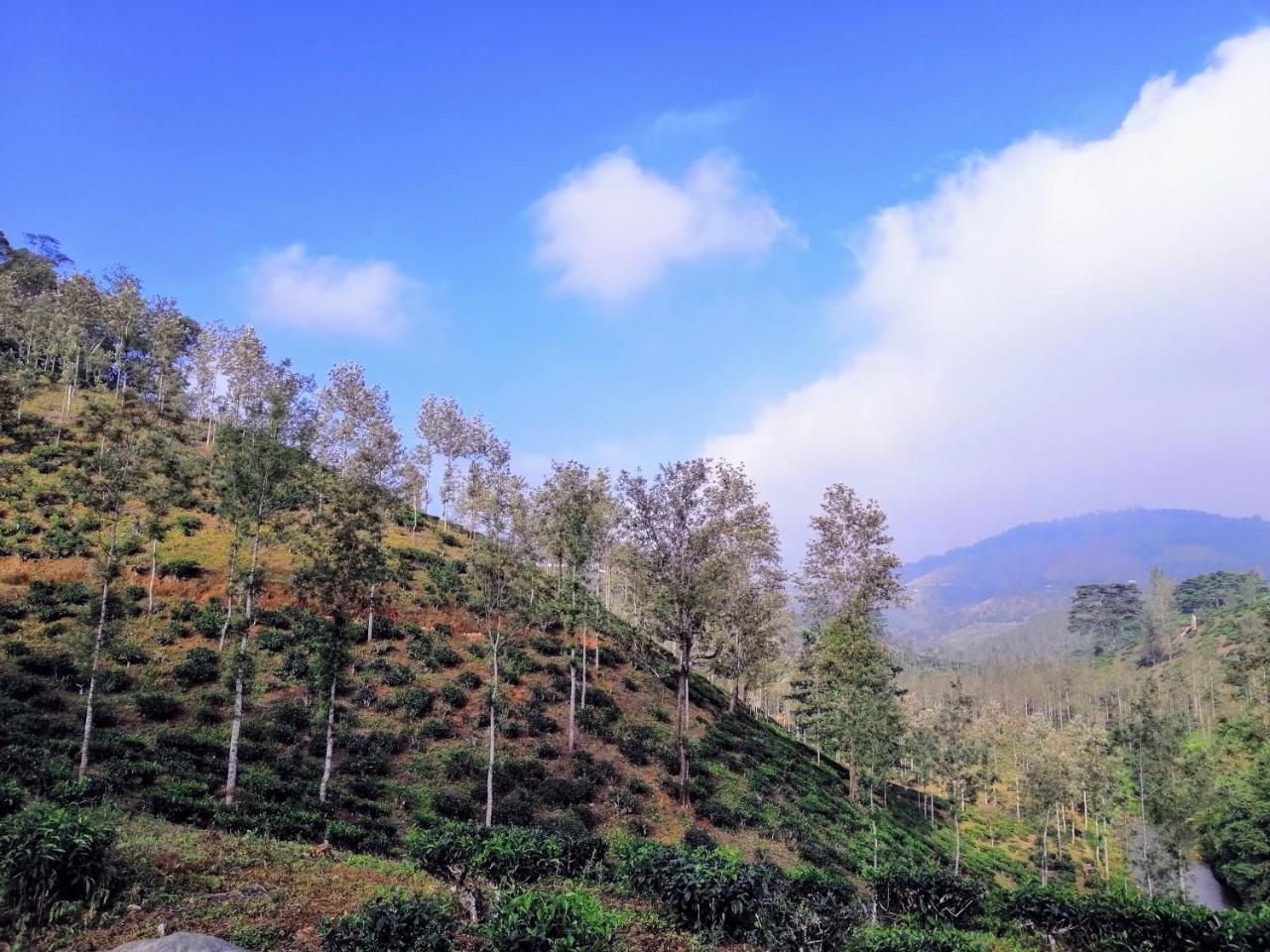 Noah'S Nest Tree House Apartment เทกคาดี ภายนอก รูปภาพ