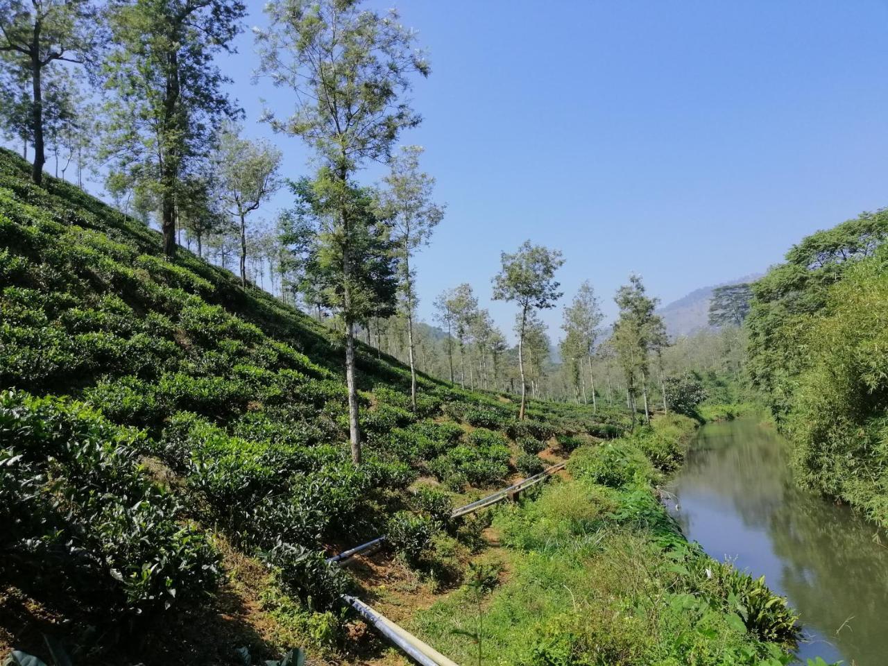 Noah'S Nest Tree House Apartment เทกคาดี ภายนอก รูปภาพ