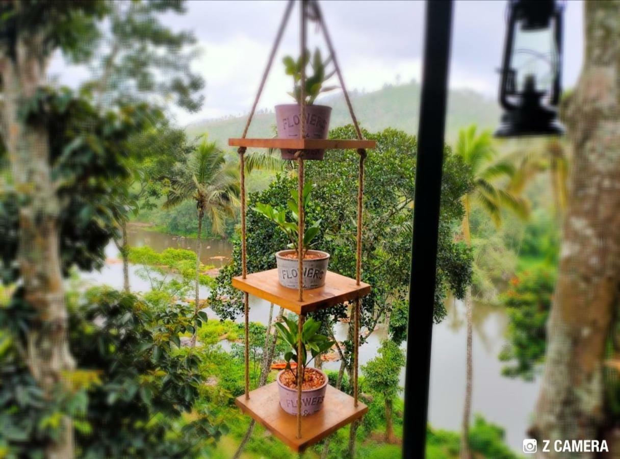 Noah'S Nest Tree House Apartment เทกคาดี ภายนอก รูปภาพ