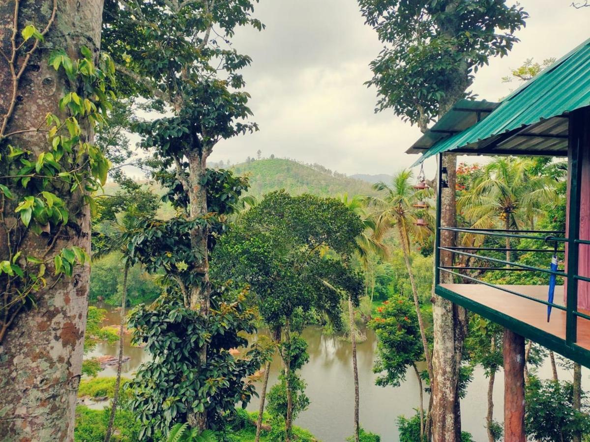 Noah'S Nest Tree House Apartment เทกคาดี ภายนอก รูปภาพ