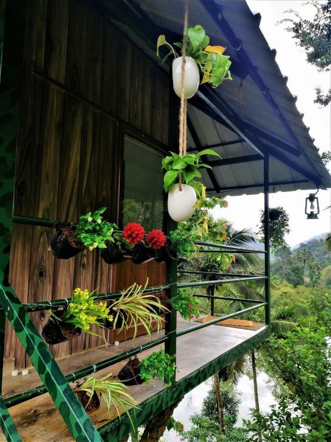 Noah'S Nest Tree House Apartment เทกคาดี ภายนอก รูปภาพ