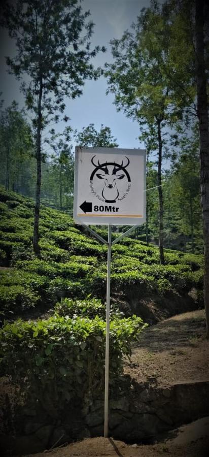 Noah'S Nest Tree House Apartment เทกคาดี ภายนอก รูปภาพ